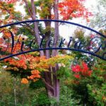 Historical Elora: A Self-Guided Cycle Tour - What’s Included and What’s Not