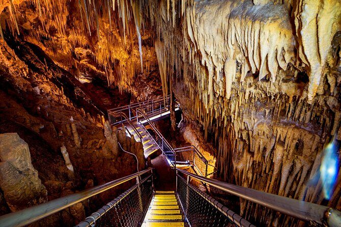 Hobart: Tahune Airwalk, Hastings Caves & Thermal Springs Pool - Pricing and Value