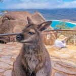 Hobart: Wineglass Bay, Freycinet Park, and Richmond Tour - What Travelers Are Saying: The Good and the Not-So-Good