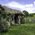 Hobbiton Movie Set and Waitomo Caves Exclusive (1-6 traveler) - The Practicalities: What to Expect