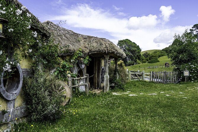 Hobbiton Movie Set and Waitomo Caves Exclusive (1-6 traveler) - The Practicalities: What to Expect