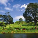 Hobbiton Movie Set & Te Puia Geothermal Valley Private Tour - The journey from Auckland to Hobbiton
