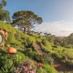 Hobbiton, Waitomo Caves and Kiwi House Day Tour From Auckland - Lunch Break in Waitomo