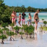 Holbox and Passion Island Full-Day Tour with Cenote, Transportation and Lunch - The Experience of the Tour