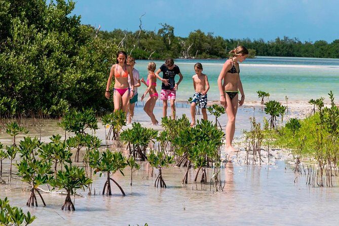 Holbox and Passion Island Full-Day Tour with Cenote, Transportation and Lunch - The Experience of the Tour