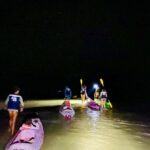 Holbox: Bioluminescence by Kayak and Stargazing. - Who Would Love This?