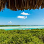 Holbox Discovery: Experience the Authentic Essence, Adventure, Taste and Relaxation - What Does the Tour Cover and Why It Matters