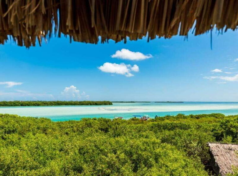 Holbox Discovery: Experience the Authentic Essence, Adventure, Taste and Relaxation - What Does the Tour Cover and Why It Matters