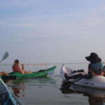 Holbox: Guided Sunrise/Sunset Kayak Tour by Mangrove Reserve - The Value for Money