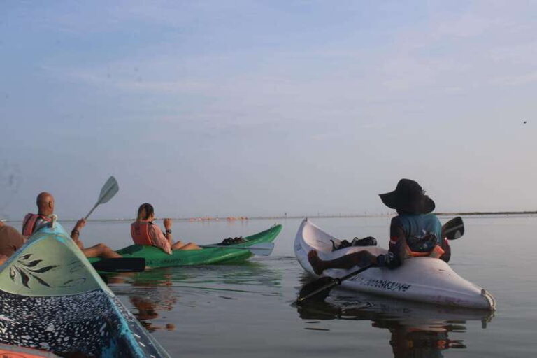 Holbox: Guided Sunrise/Sunset Kayak Tour by Mangrove Reserve - The Value for Money