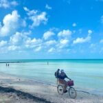 Holbox Magic Island! Punta Cocos + Punta Mosquito From Cancun - FAQ