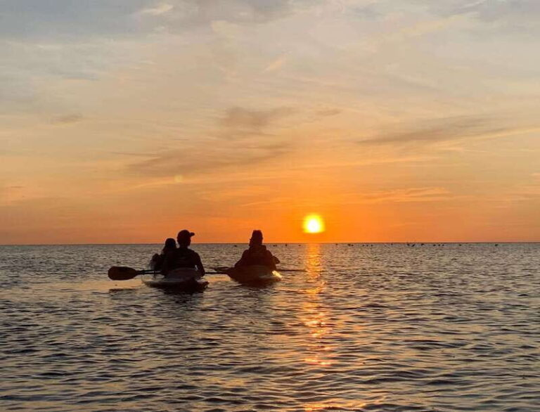 Holbox: Mangrove Sunset Kayak Tour - A Closer Look at the Itinerary
