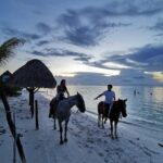 Holbox: Private Horseback Riding - The Landscape and the Route