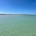 Holbox: Punta Mosquitos, Yalahau, & Pasión Island Boat Tour - The Value of This Experience