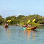Holbox: Sunrise Kayak Tour through the Mangroves - The Sum Up