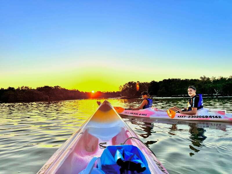 Holbox: Sunrise & Mangrove Kayak Tour - Is This Tour Right for You?