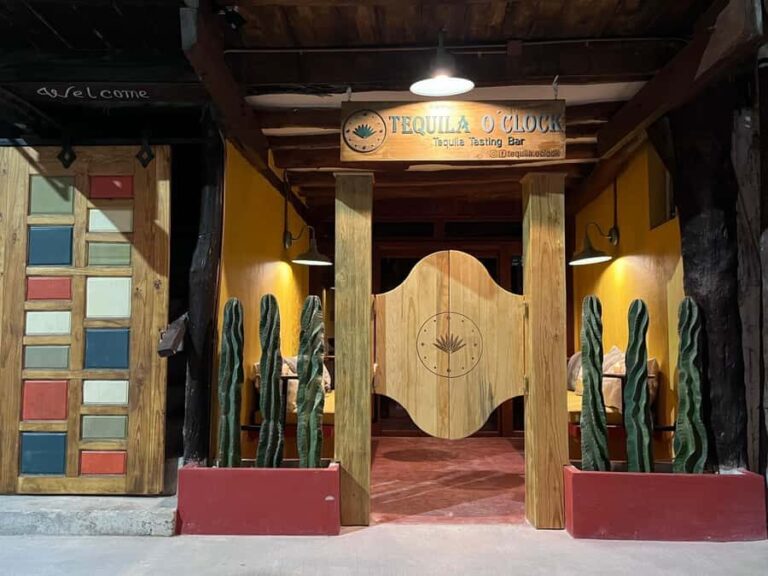 Holbox: Tequila Tasting Experience at Tequila O'clock - Who Is This Tour Best For?