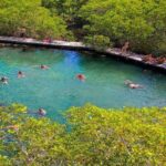 Holbox The Living Dream by boat from Playa del Carmen - A Detailed Look at the Tour Experience