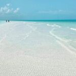 Holbox Tour - Island & Cenote from Cancun and Playa del Carmen - Authentic Perspectives: What Travelers Say