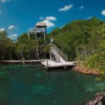 Holbox Tour! Nature Adventure from Cancun & Playa Del Carmen - Pros and Cons in a Nutshell