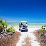 Holbox Tour with Ferry transportation and lunch included - The Realities of the Experience