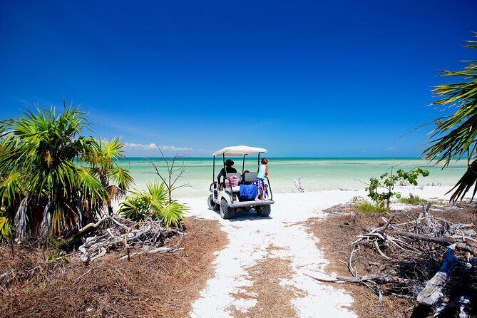 Holbox Tour with Ferry transportation and lunch included - The Realities of the Experience