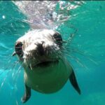 holy spirit island tour - The Value of This Tour