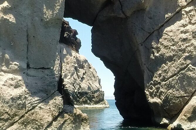 Holy Spirit Island Tour Sea Lions Snorkeling and Beach - Who Will Love This Experience?