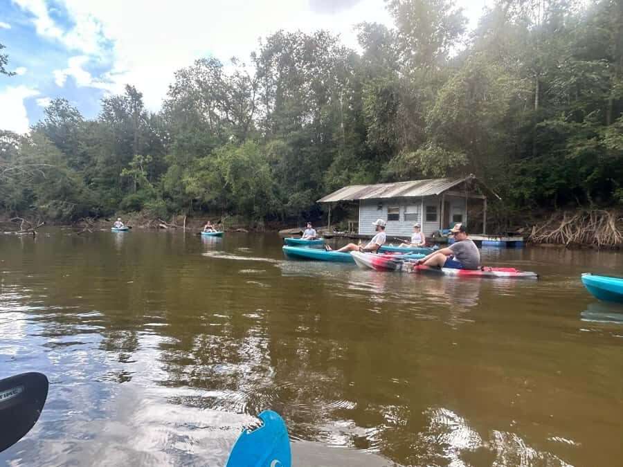 Honey Island Swamp Kayak Tour - The Itinerary and What to Expect