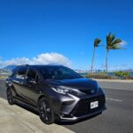 Honolulu Airport, Cruise Port and Waikiki hotels Private Transfer - Practical Details and What You Can Expect