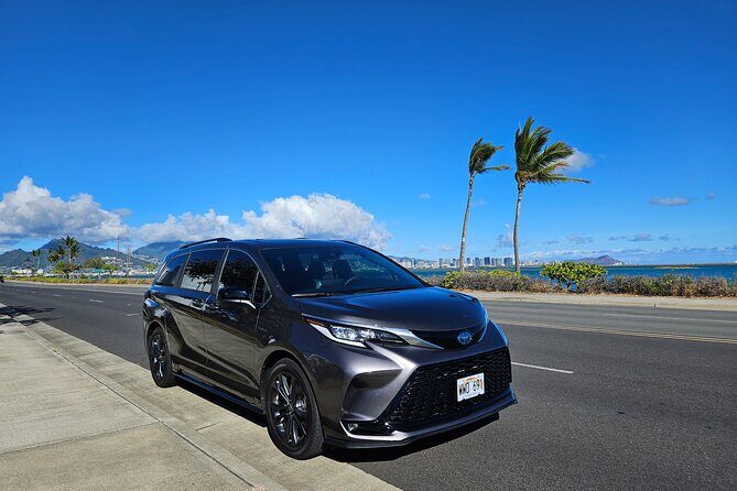 Honolulu Airport, Cruise Port and Waikiki hotels Private Transfer - Practical Details and What You Can Expect