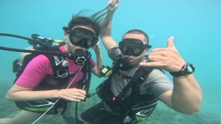 Honolulu: Beginner Scuba Diving Tour With Free Videos - The Pros and Cons