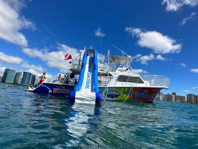 Honolulu: Deluxe Waikiki Snorkel and Wildlife Cruise - The Value of This Experience