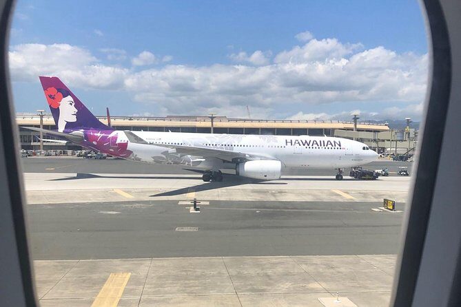 Honolulu Hawaii Airport Transfer - The Reviews: Authentic Voices