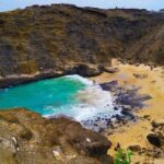 Honolulu Polo Game with Stables Tour and VIP Seats plus Private Island Tour - What to Expect: The Details