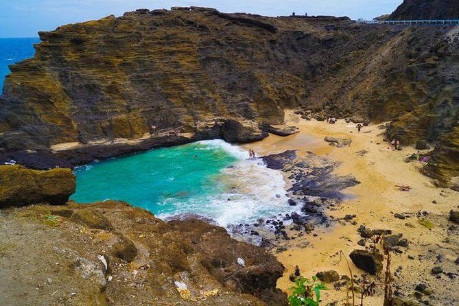 Honolulu Polo Game with Stables Tour and VIP Seats plus Private Island Tour - What to Expect: The Details