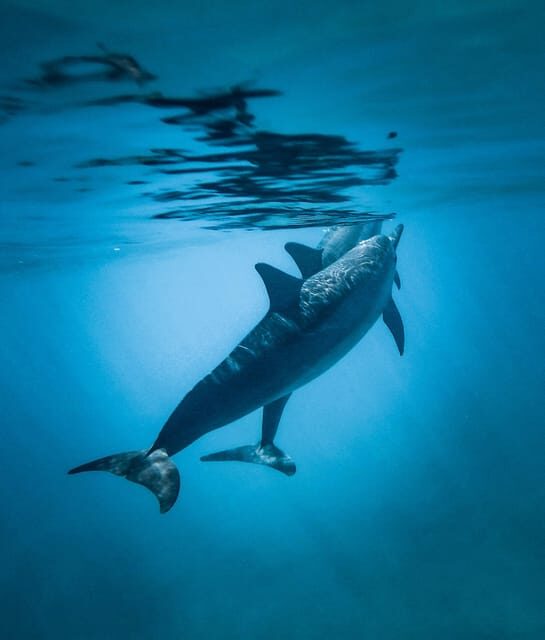 Honolulu: Private Waikiki Boat Cruises for up to 6 People - Is It Worth the Price?