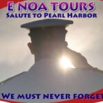 Honolulu: Salute to Pearl Harbor - USS Arizona Memorial Tour - Transportation and Logistics