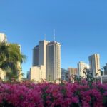 Honolulu Scavenger Hunt and Highlights Self-Guided Tour - The Journey and Your Experience