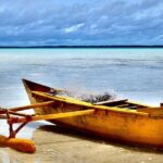 Honolulu's Waikiki Self-Guided Walking Audio Tour - Practical Details & What to Expect