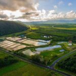 Hook A Barra Fishing Experience - An Honest Look at the Experience