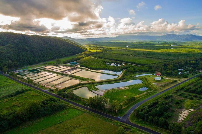 Hook A Barra Fishing Experience - An Honest Look at the Experience