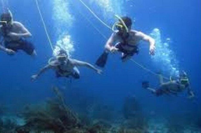 Hookah Diving Adventure in Zihuatanejo - Why Choose Hookah Diving?