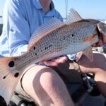 Hooked on the Bayou: New Orleans Kayak Fishing Trips - Who Is This Tour Best For?