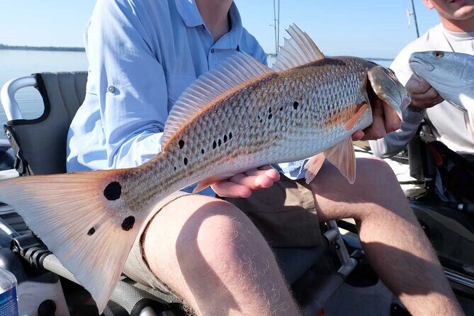 Hooked on the Bayou: New Orleans Kayak Fishing Trips - Who Is This Tour Best For?