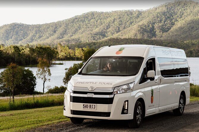 Hop on Hop Off Bus - Tamborine Mountain - The Experience: What’s Really Included and What to Expect