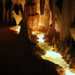 Hop on Hop off - Tamborine Rainforest Skywalk + Glow Worm Caves - Transportation and Group Size