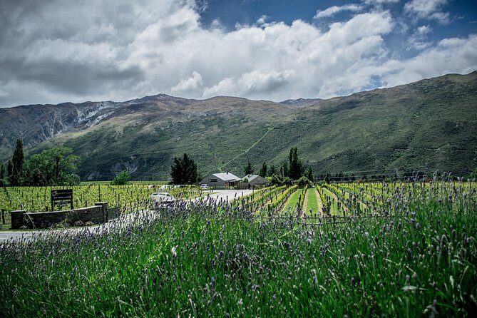 Hop on Hop off Wine Tours Queenstown - The Verdict: Who Should Consider This Tour?