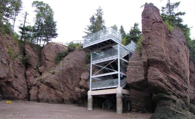 Hopewell Cape: Hopewell Rocks Admission - The Experience for Different Types of Travelers