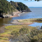 Hopewell Rocks and Fundy National Park Private Tour - Who Is This Tour Best For?
